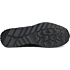 Corvus