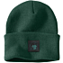 Knit shamrock patch beanie