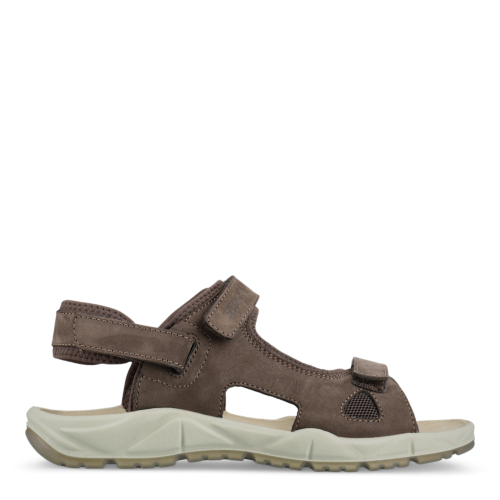 22224 Sika Motion-Brown-37