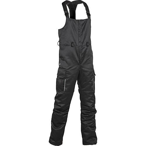 6179 Winter overalls